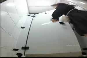 厕拍小姐姐尿尿这阴唇有点大  背景图片