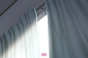 兽娘通信 ～鸟娘露琵亚～  背景图片