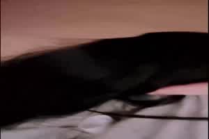 【调教母狗妹妹】大胆楼道强上式猛操嫩逼，内射灌满精液，慢慢成为我的性奴  背景图片