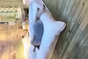 娇声呻吟让肾上腺素拉满,完美身材让人流鼻血，爆操太爽了，精液乱射。  背景图片