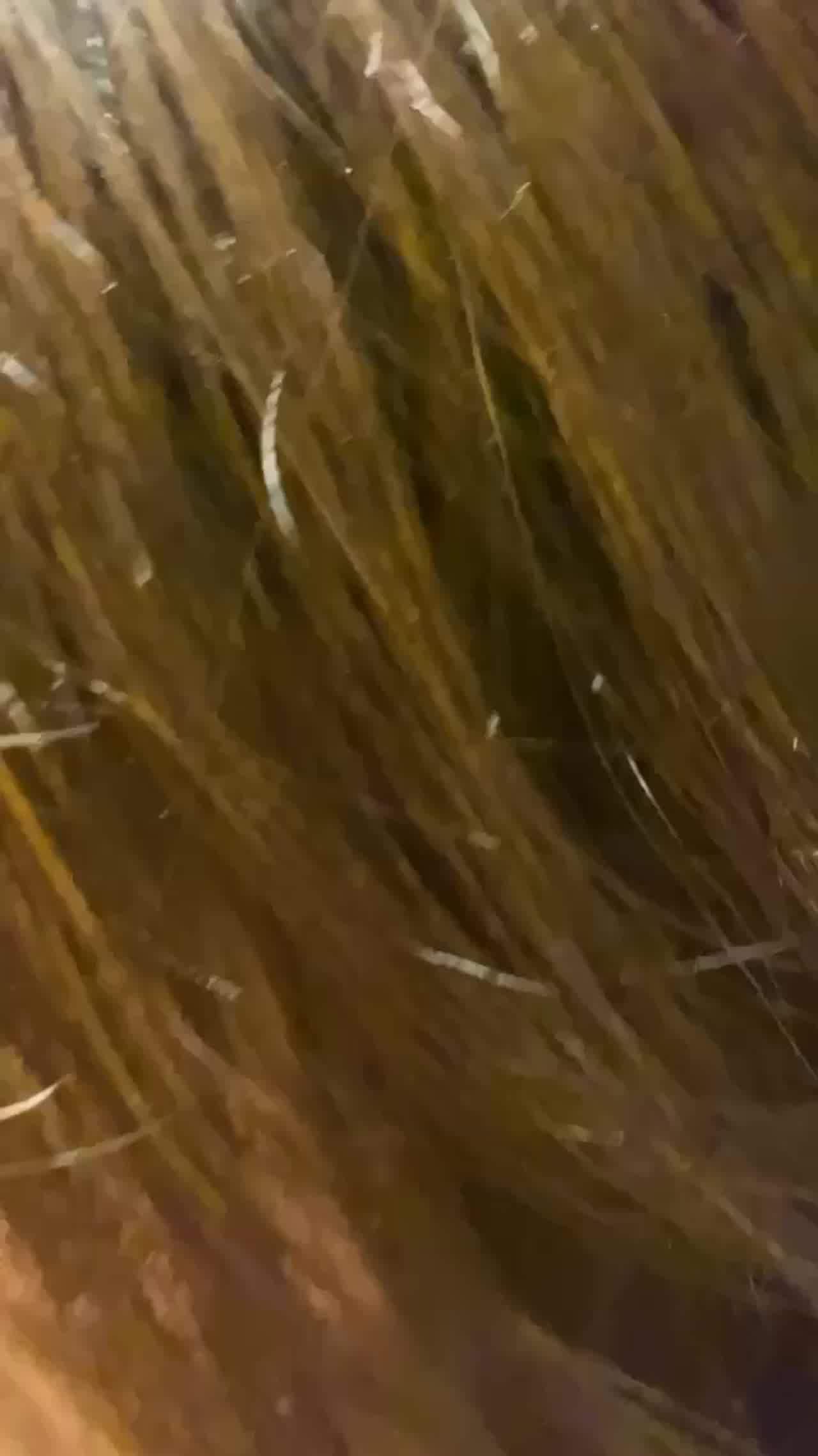  激吻干炮一气呵成浓烈的荷尔蒙在燃烧 的剧照2