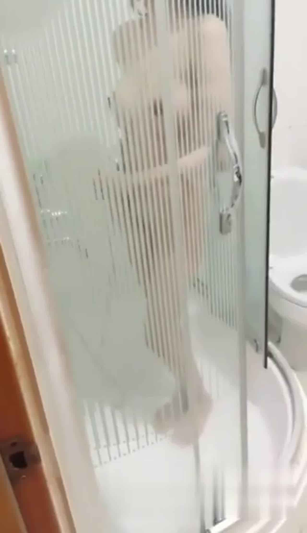  极品韩越混血！水波奶拼命摇晃！（三） 的剧照4