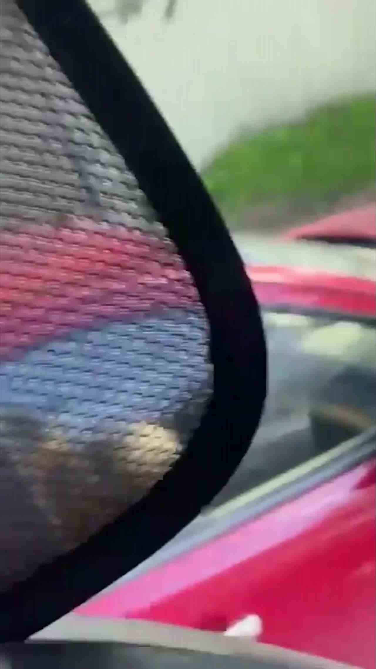  门事件 车上无意中的一瞥_卧槽!旁边小车上的情侣在干啥 的剧照1