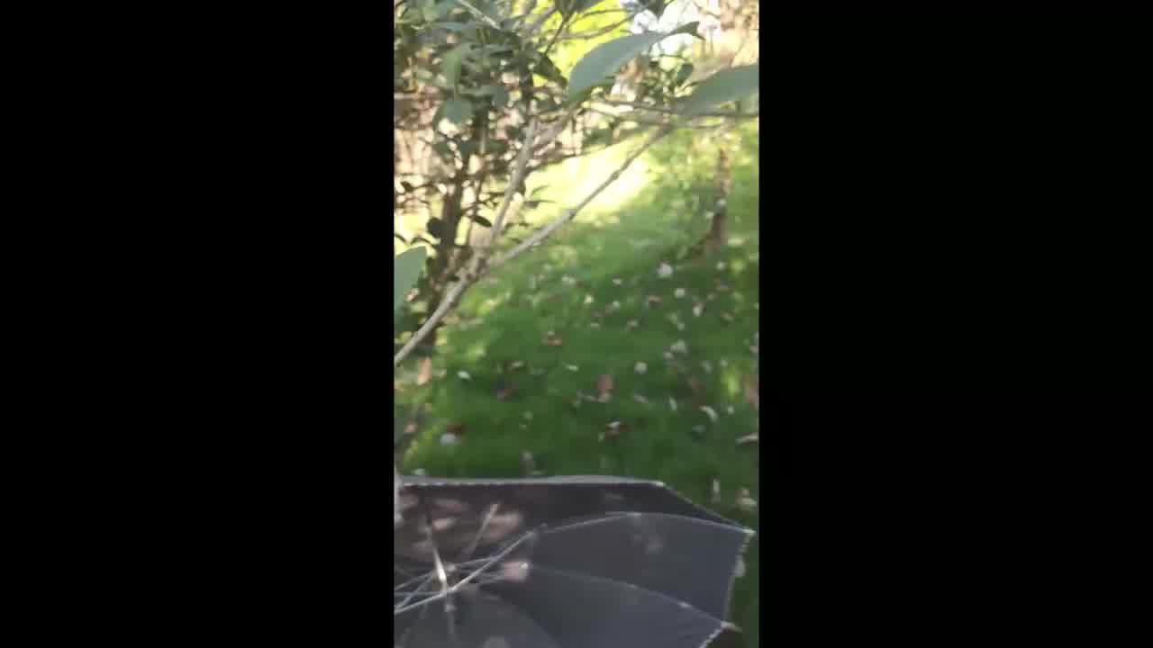  完整版露脸极品少女洛丽塔『喵喵』户外野战内射啪啪公园+浴池+天桥下 的剧照1