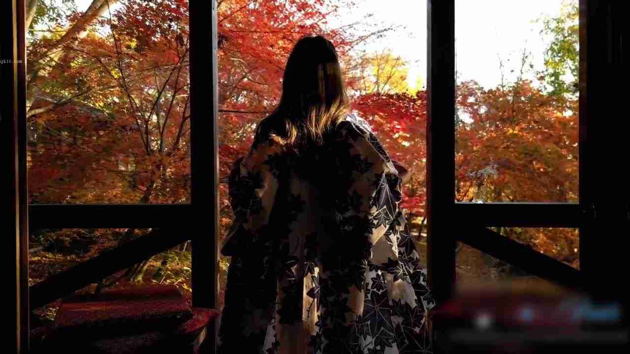  Naomi和服 丛林小木屋枫树下的甜蜜性爱 的剧照5