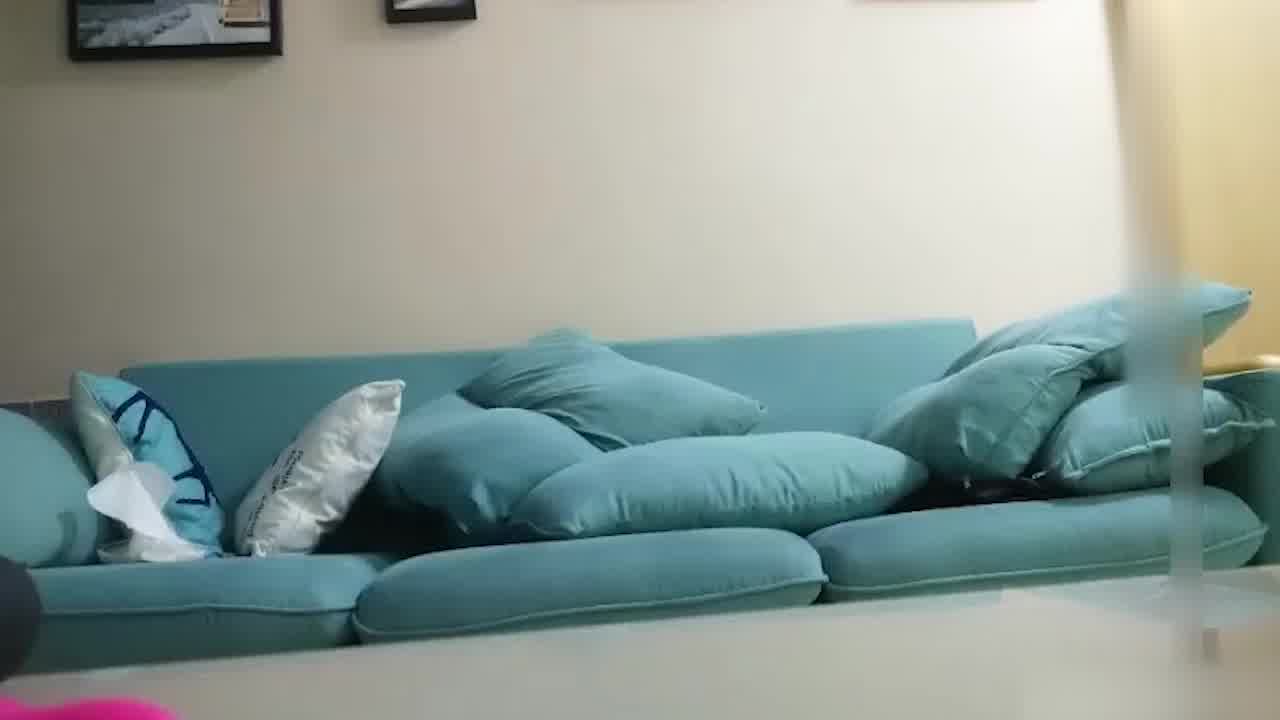  肥哥探花黑骚屄02 的剧照8