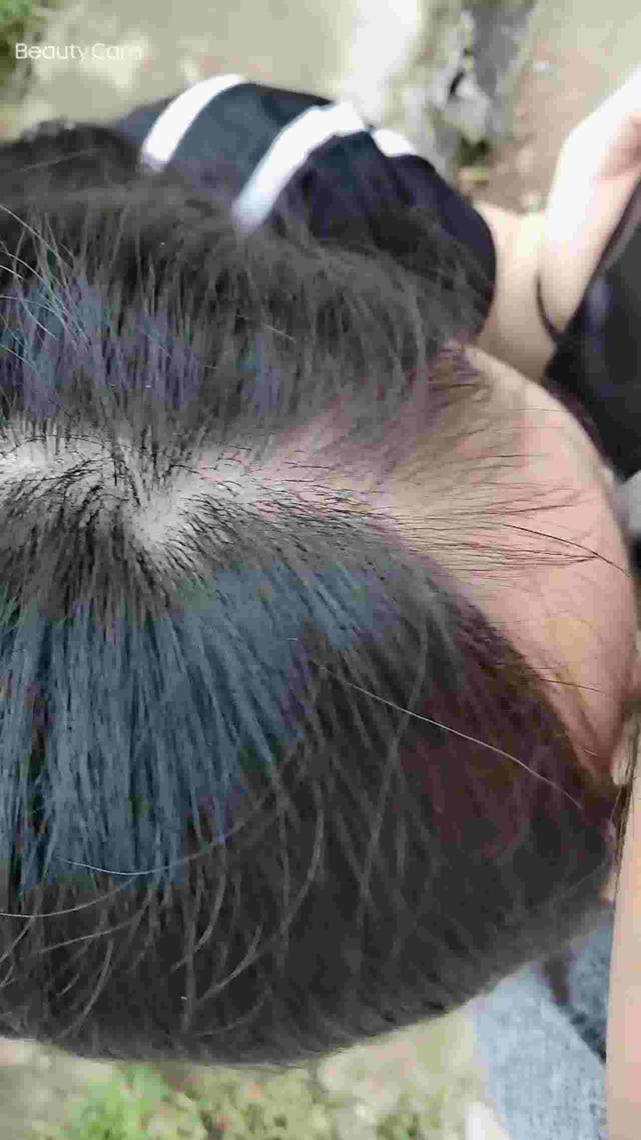  对面好多老头摘枇杷 的剧照5