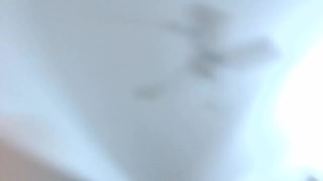  留学正妹在外带洋老外的大肉棒回家中享用 的剧照2