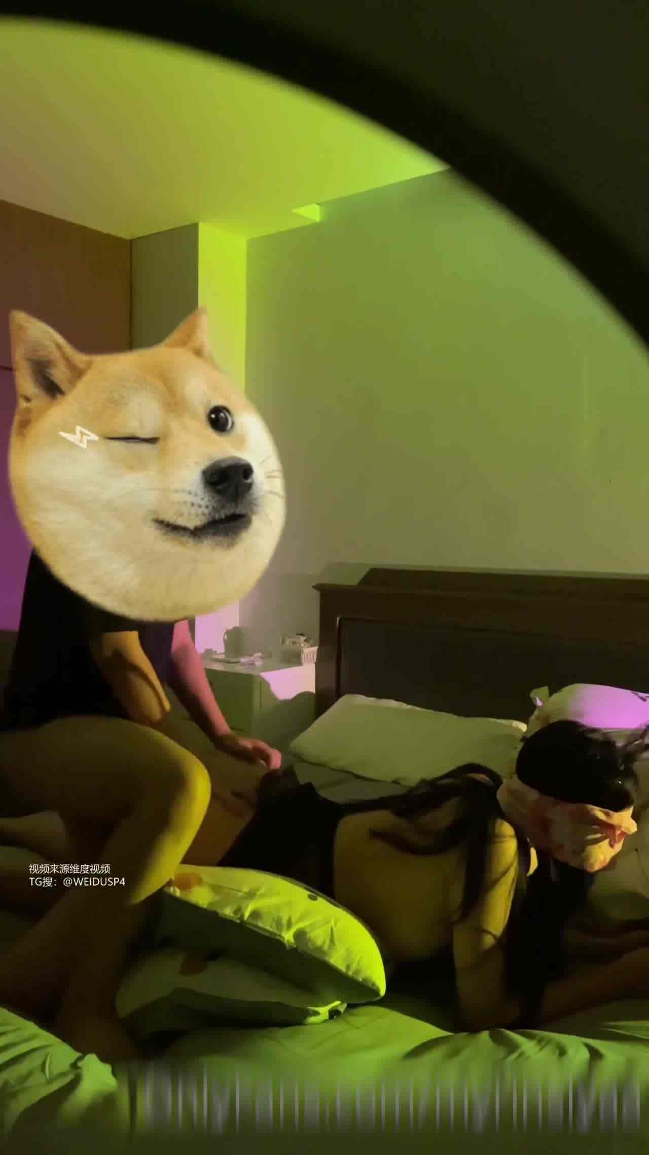  精美骚鲍 用手指就能高潮 的剧照10