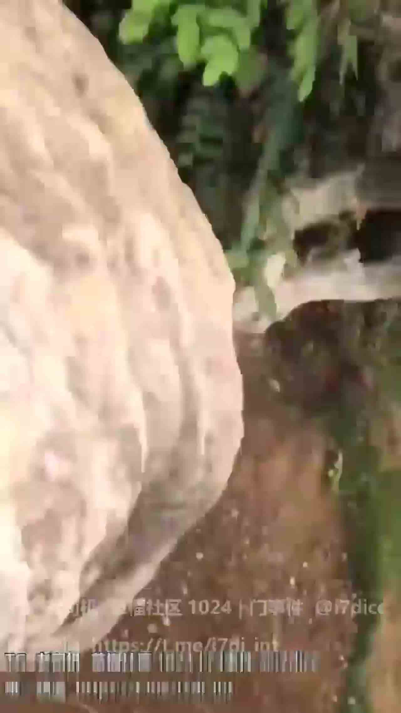  爱奇蒂门事件【浆果儿双马尾妹野外露出做爱】 的剧照7