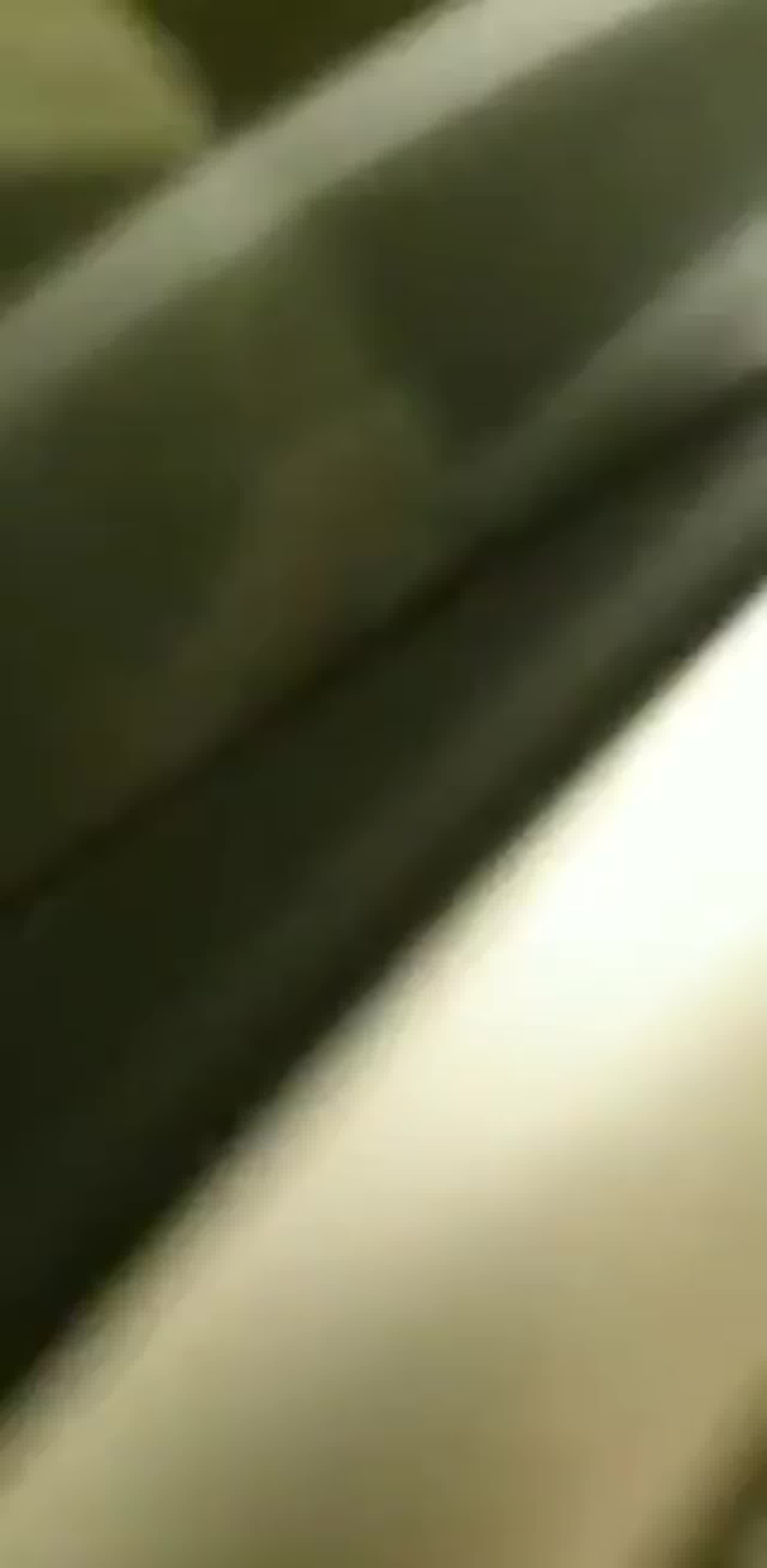  香港 运动型正妹停车场车震有妇之夫!被偷拍只好驾车逃逸!! 的剧照3