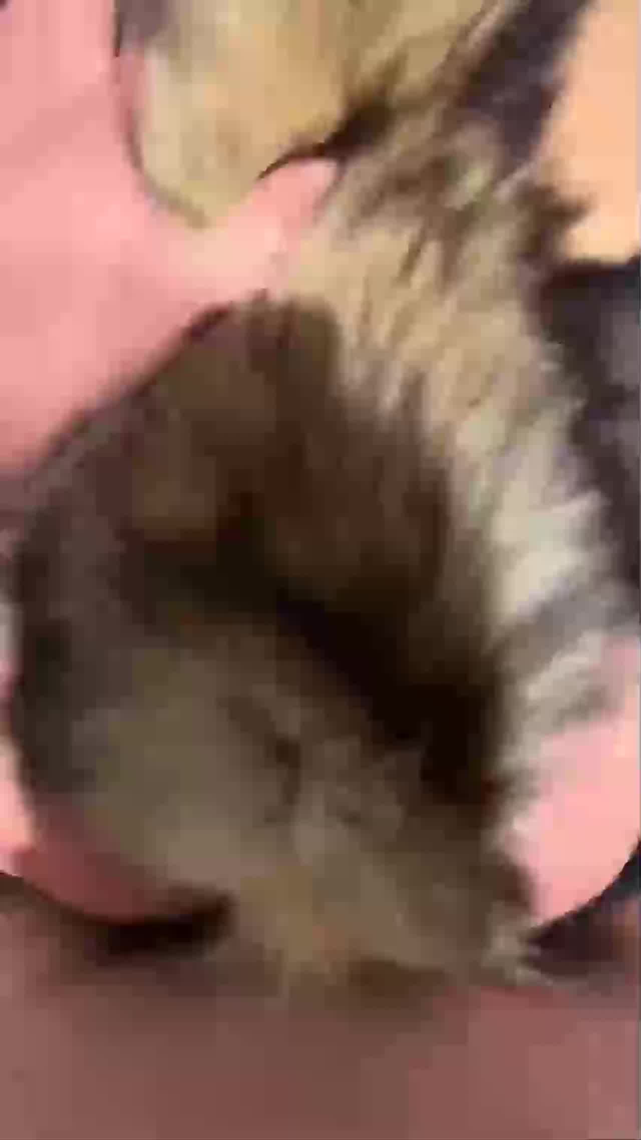  激情3P肉夹馍骚逼小骚货被两个猛男上下夹着操双洞齐插连续 的剧照3